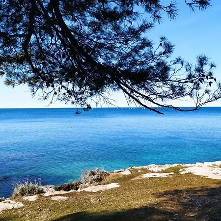 Daire Sunset Bay *
